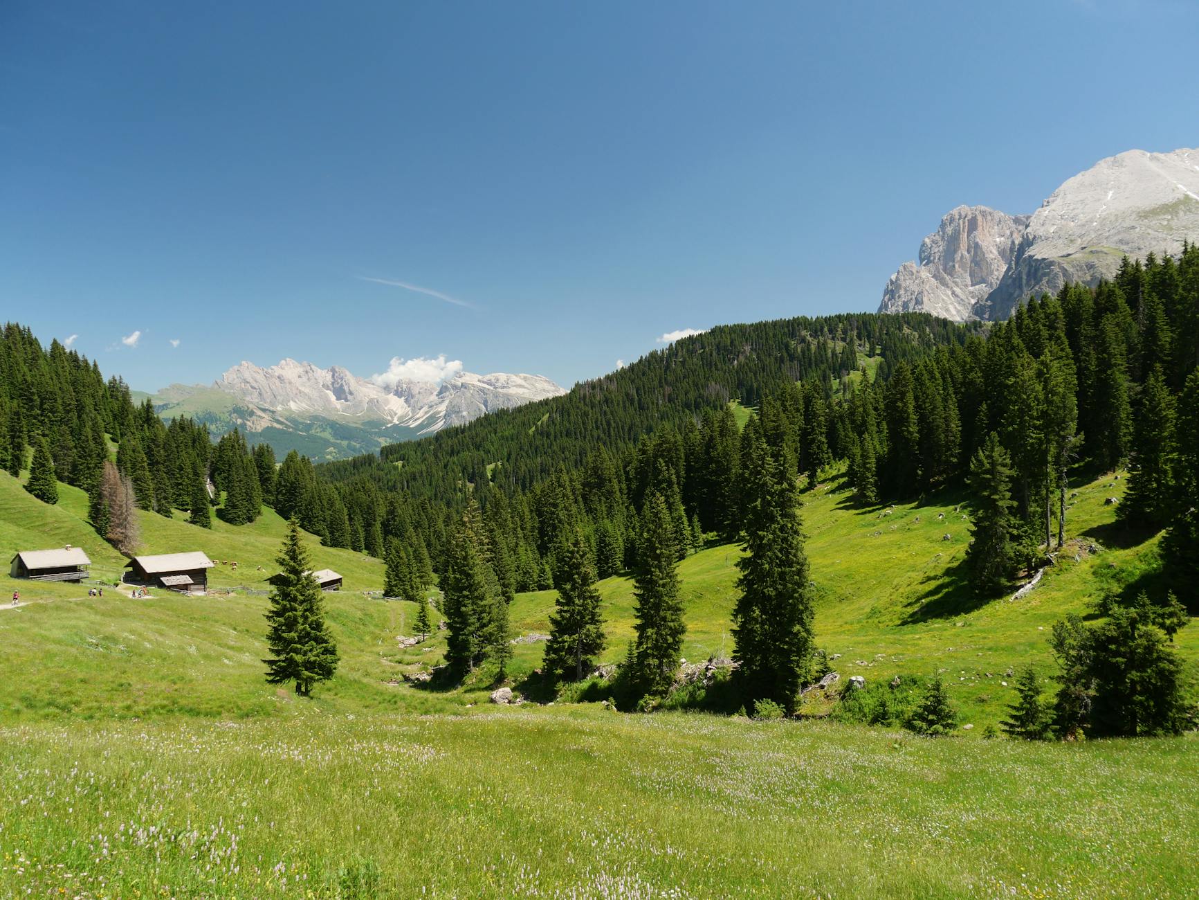 stunning view of seiser alm in summer